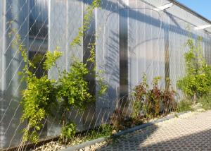 Quality Security Artificial Wire Trellis For Climbing Plants wholesale