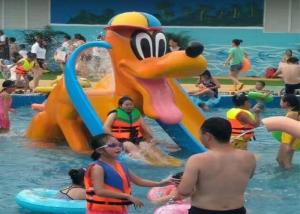 Quality Donald Duck Kids Water Playground , Swimming Pool Spray Kids Water Slide wholesale