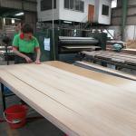 Normal Fancy Plywood Board For Indoor Decorative Standard Size 2440/2745mm