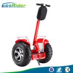 EcoRider 21 Inch Segway Electric Scooter , 2000w Segway Mobility Scooters For