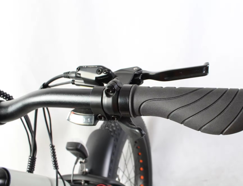 9 Speed Electric Bike 26"*4.0 Fat Tire Ebike Electric Mountain Bike 48V 750W 1000W Electric Bike For Adults