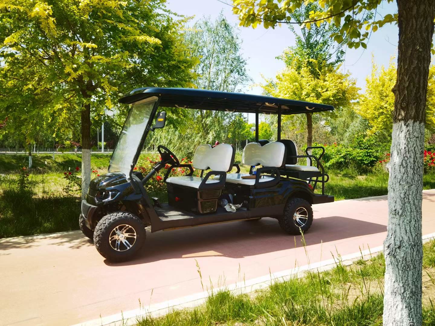 72V 4KW AC System Lead Batteries New Style 6 Seater Golf Cart With CE Certificates