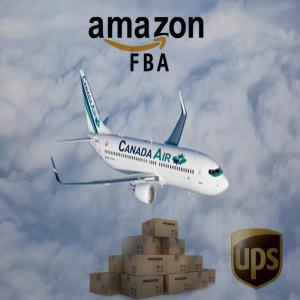 Quality Amazon China To USA DDP International Air Freight wholesale