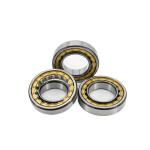 25*47*12mm NU1005EM NJ1005EM Cylindrical Roller Bearings within Structure