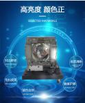 NP12LP Projectors Bulbs 51X51mm PX9600 PX581W+