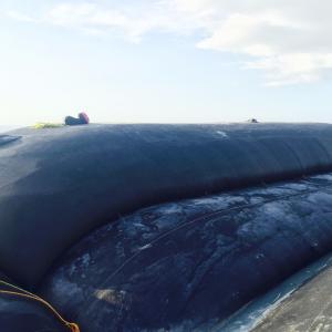 Quality GT1000 High Strength PP Woven Geotextile 200kn/M Geotube Breakwater In Marine Project wholesale