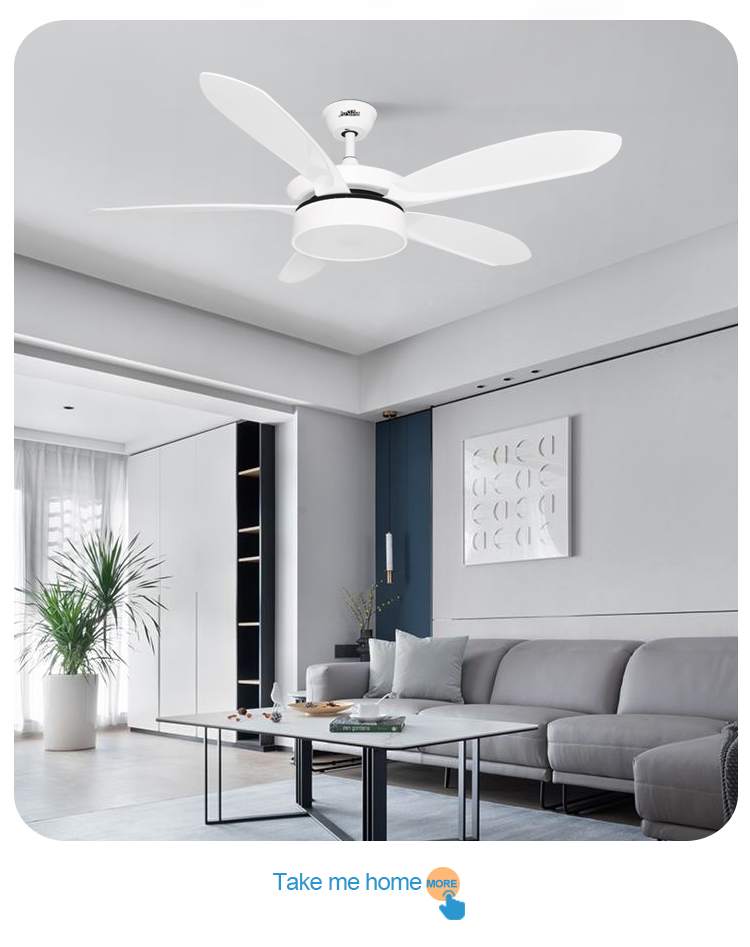 1stshine LED Ceiling Fan with Remote and 5 Speed Input Voltage V 110-240V-50-60Hz DC
