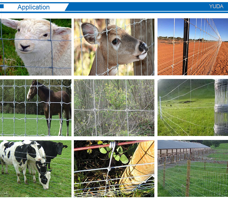 High Tensile Field Fence Galvanized Wire Woven Fixed Knot Goat Cattle Mesh