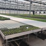Commercial Greenhouse Rolling Benches / Seedbed Wire Greenhouse Bench for