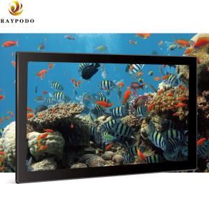 Quality Advertising Displayer Full HD Touchscreen Monitor Raypodo 18.5'' 1366 * 768 For Super Market wholesale