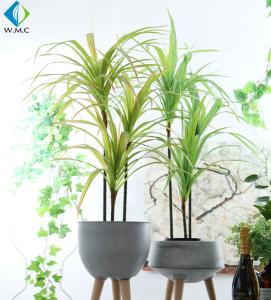 Quality Dracaena Cinnabari Artificial Potted Plants , Green Dragon Tree Bonsai wholesale