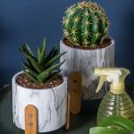 Cement Flower Pots Mini Succulents Plant Pots Round Planters Tabletop Planters