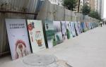 PLASTIC LENTICULAR Wholesale Customized 3d lenticular picture 3D flip prints