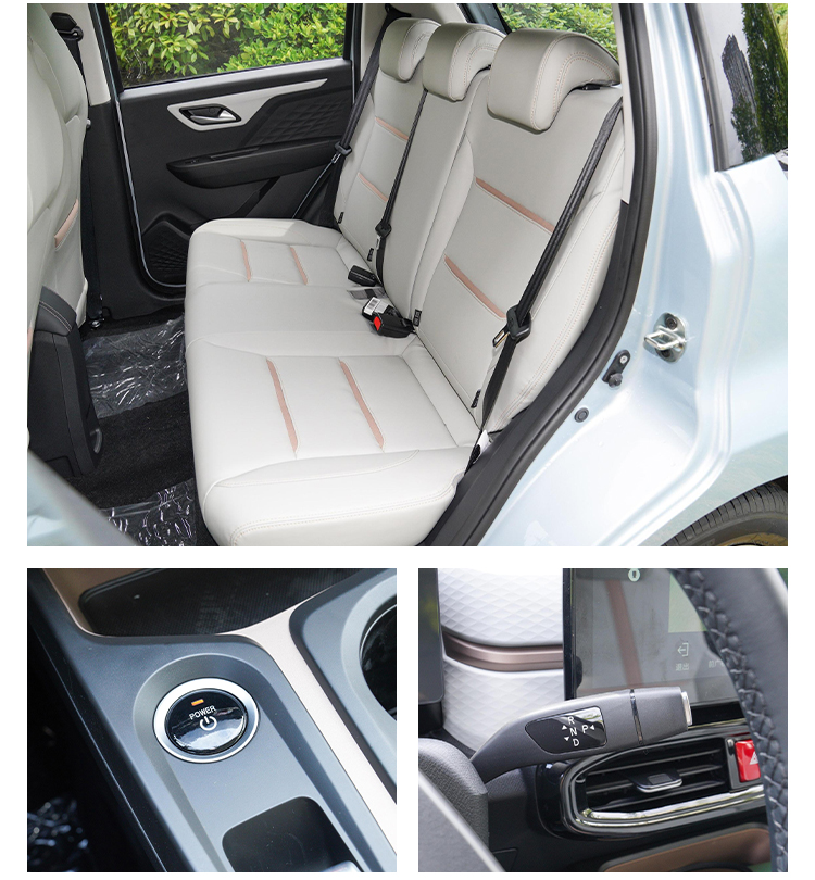 2023 Energy Electric Vehicle Sol E10x 5 Seat Left Hand Drive 102Km/h 0km Maximum Speed 102Km/h Battery Capacity 31.4Kwh