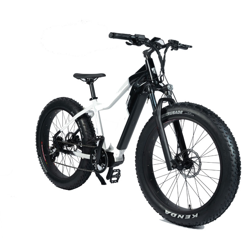 750W 1000W High Power Electric Mountain Bike with Full Suspension and Hydraulic Brake