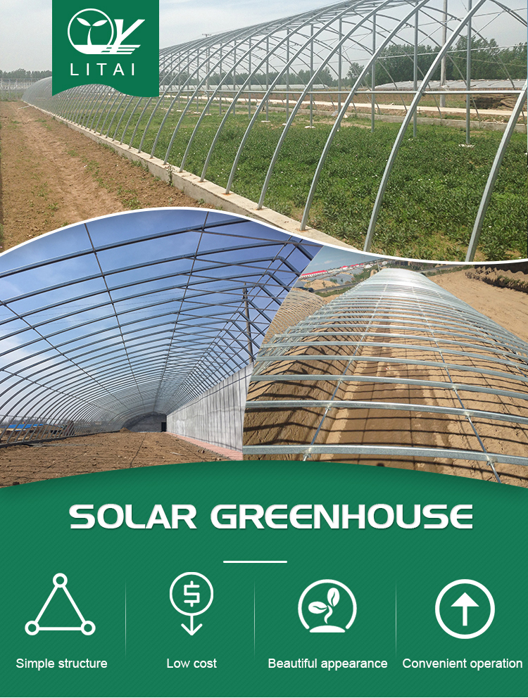 Hydroponic Greenhouse System for High Strength Solar Greenhouse and Vegetable Flower