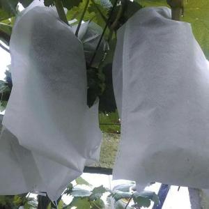 Quality Anti UV Fruit Tree Protection Bags , Spunbond Nonwoven Bags To Cover Fruit On Trees wholesale