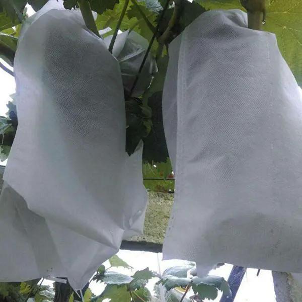 Anti UV Fruit Tree Protection Bags , Spunbond Nonwoven Bags To Cover Fruit On