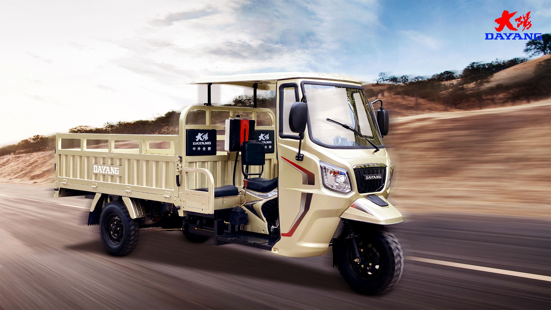 Front Drum Rear Drum Brake System 250cc Petrol Cargo Tricycle for Elderly and Family