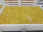 Food Grade Plastic / Metal Tray And Trolly For Drying Capsule Candy