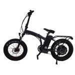 Aluminum Alloy Frame 48v 13ah Lithium Battery Electric Bike with 20 inch Snow