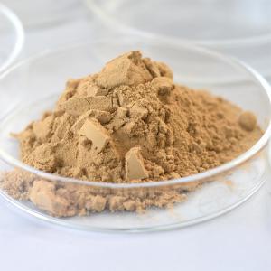 Quality Besthway Neutral Protease Industrial Enzyme Powder ISO22000 wholesale