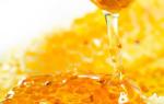 Professional Vacuum Honey Processing Plant , Evaporator Inspissation Honey