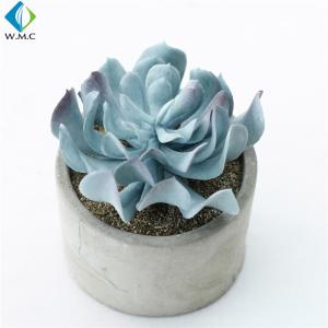 Quality Potted Artificial Green Plants , Fake Succulent Plants 5-10 Years Life Time wholesale