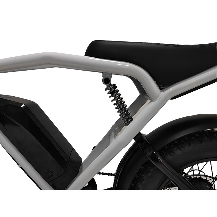 Off-Road 20*4.0 Kenda Tire Electric Bike For Thrilling Rides And Fast Shipping