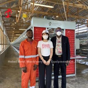 Quality 200 Birds Automatic Chicken Battery Cage For Sale Egg Layer Cage Farm Ada wholesale