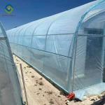 0.5KN/M2 Clear Polythene 4m Single Tunnel Greenhouse