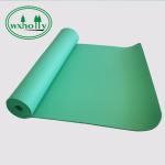 Strong Elasticity 173cm 61cm Non Slip Waterproof Yoga Mat For Sports
