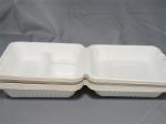 8" 9" 3 Compartment Biodegradable Food Boxes Bagasse Hinged Container