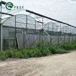 Boost Potato Harvest Large Plastic Pipes Multi-Span Agricultural Greenhouses