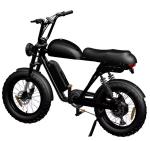 20 Inch Fat Tire 73 Style Ebike 7 Speed Electric Mountain Bike 48V 500W 750W