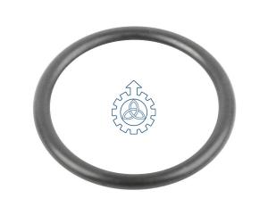 Quality O-ring 17916385 wholesale