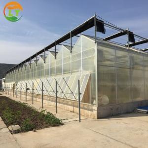 Quality Venlo Polycarbonate Greenhouse for Flower and Vegetable Growing in Customized Color wholesale