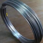Sae1020 1050 1060 High Carbon Annealed Iron Black Spring Steel Wire for