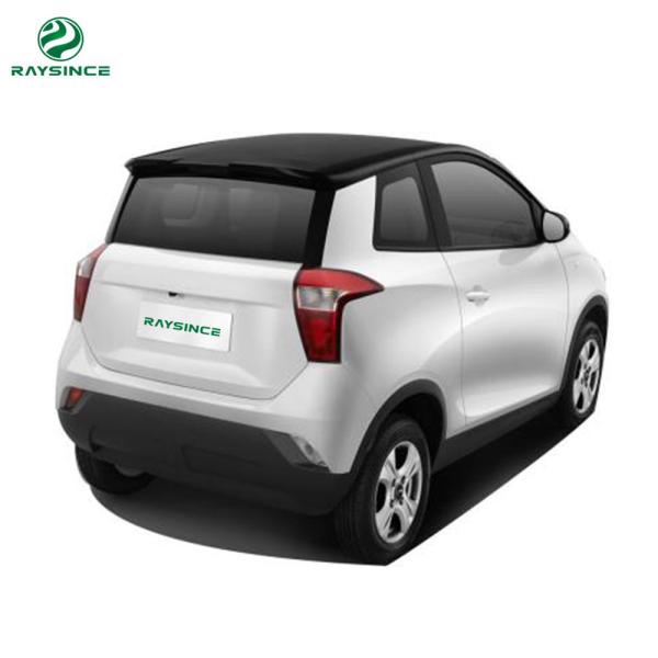 Raysince China Supplier electric mini vehicle 3 doors 4 seats Wholesale cheap