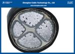 Underground Cable with XLPE Insulated / 4 Cores Aluminium Low Voltage Power