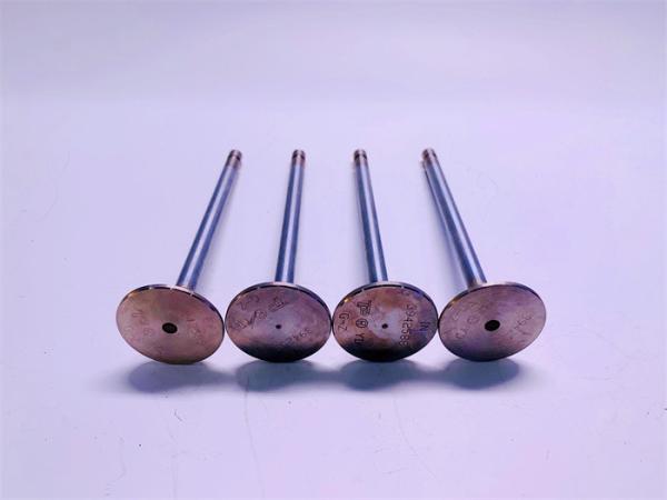 OEM 3942588 3942589 Diesel Engine Valve KOMATSU 6D114 EFI Cummins 6CT8.3 EFI
