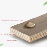 Whole House Wood Furniture Customization home Wardrobe Cabinet
