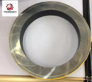 Quality Construction Putzmeister Concrete Pump Spare Parts 230/235 Wear Ring wholesale