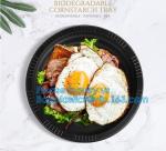 Catering Eco-Friendly Container Compartment Starch lunch Meal Box, Disposable