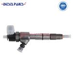 Diesel Common Rail Fuel Injector 0 445 110 446 for JAC Foton