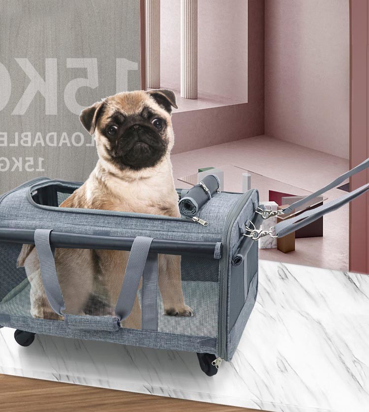 Oxford Fabric Outdoor Soft Pet Trolley Bag OEM ODM For Cats Dogs