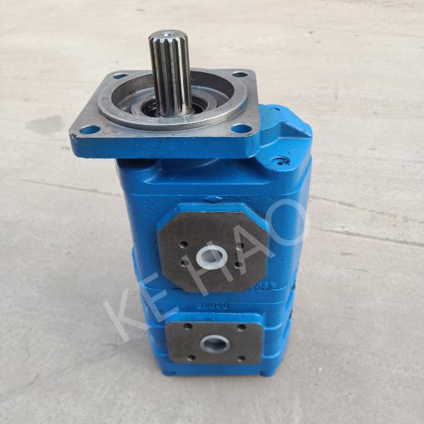 CBGJ32/32 CBGJ40/40 CBGJ50/50 CBGJ63/63 Compact Original Gear Pump For