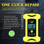 LED Display 3 Phase Charging Mode Automatic Car Battery Charger 24V Lead Acid