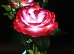 LED Simulation EVA Rose Lights lawn flower lamp Garden courtyard beautiful