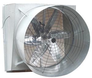 Quality 50'' poultry fan wholesale